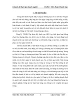 Hoàn thiện kế toán bán hàng tại Công Ty TNHH Tập đoàn Kỹ thuật cao HPG