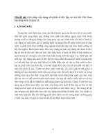 Tiểu luận giải pháp xây dựng nền kinh tế độc lập tự chủ khi việt nam hội nhập kinh tế