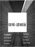 (TIỂU LUẬN) bài thực hành số 2 CHI PHÍ – lợi NHUẬN 