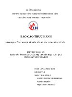 (TIỂU LUẬN) bài THỰC HÀNH số 1 KHẢO sát ẢNH HƯỞNG của PHỤ GIA đến HIỆU SUẤT QUÁ TRÌNH sản XUẤT sữa bột 