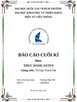 (TIỂU LUẬN) báo cáo CUỐI kì môn THỰC HÀNH ANTEN GIẢN đồ SMITH CHART ANTEN nửa bước SÓNG 
