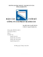 (TIỂU LUẬN) báo cáo CUỐI kỳ CÔNG TY cổ PHẦN SEATECCO 