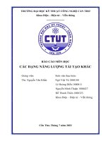 (TIỂU LUẬN) báo cáo môn học các DẠNG NĂNG LƯỢNG tái tạo KHÁC  NĂNG LƯỢNG THỦY TRIỀU 