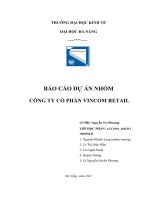 (TIỂU LUẬN) báo cáo dự án NHÓM CÔNG TY cổ PHẦN VINCOM RETAIL 