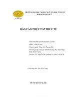 (TIỂU LUẬN) báo cáo THỰC tập THỰC tế cơ sở thực tập công ty TNHH thương mại xuất nhập khẩu triển vượng 