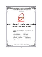 (TIỂU LUẬN) báo cáo kết THÚC học PHẦN CHỦ đề tìm HIỂU về DNS 