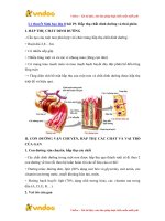 ly thuyet sinh hoc lop 8 bai 29 