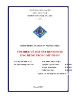 (TIỂU LUẬN) báo cáo đồ án CHUYÊN NGÀNH CNHH tìm HIỂU về đất sét BENTONITE ỨNG DỤNG TRONG mỹ PHẨM 