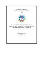 (TIỂU LUẬN) ĐÁNH GIÁ về KHU vực cơ sở hạ TẦNG của mô HÌNH KINH DOANH NETFLIX 