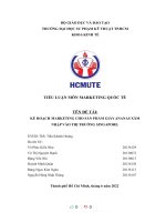 (TIỂU LUẬN) đề tài kế HOẠCH MARKETING CHO sản PHẨM GIÀY ANANAS xâm NHẬP vào THỊ TRƯỜNG SINGAPORE 