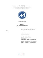 (TIỂU LUẬN) đề tài  mô HÌNH đổi mới TĨNH 