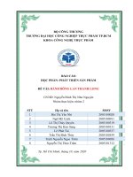 (TIỂU LUẬN) báo cáo học PHẦN PHÁT TRIỀN sản PHẨM đề tài BÁNH BÔNG LAN THANH LONG 