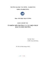 (TIỂU LUẬN) môn TIN học đại CƯƠNG báo cáo đề tài ô NHIỄM môi TRƯỜNG và các BIỆN PHÁP bảo vệ môi TRƯỜNG 