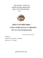 (TIỂU LUẬN) báo cáo môn học CÔNG NGHỆ ENZYM và PROTEIN đề tài ENZYM BIOSENSOR 