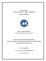 BÁO cáo THỰC HNH NGHỀ NGHIỆP 1 PHÂN TCH CHIẾN lược MARKETING MIX PHÂN TCH CHIẾN lược MARKETING MIX của THƯƠNG HIỆU của THƯƠNG HIỆU MAYBELLINE ti VIỆT NAM 