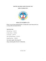 (TIỂU LUẬN) báo cáo NGHIÊN cứu đề tài các yếu tố ảnh hưởng đến hành vi sử dụng dịch vụ giao hàng tại nhà của các hộ gia đình trên địa bàn hà nội  