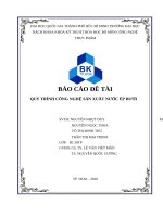 (TIỂU LUẬN) báo cáo đề tài QUY TRÌNH CÔNG NGHỆ sản XUẤT nước ép bưởi 