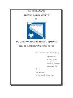 (TIỂU LUẬN) báo cáo môn học  THỊ TRƯỜNG ĐỊNH CHẾ CHỦ đề 2  THỊ TRƯỜNG CÔNG cụ nợ 