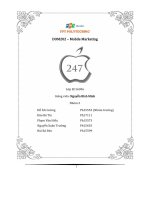 (TIỂU LUẬN) đo lường, đánh giá, hiệu chỉnh chiến dịch marketing online   tên thương hiệu APPLE 247 