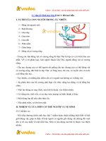 ly thuyet sinh hoc lop 8 bai 1 