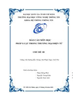 (TIỂU LUẬN) báo cáo môn học PHÁP LUẬT TRONG THƯƠNG mại điện tử CHỦ đề 1b các TÌNH TRẠNG mà CHỦ THỂ ĐANG gặp PHẢI 