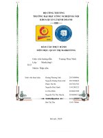 (TIỂU LUẬN) báo cáo THỰC HÀNH môn học QUẢN TRỊ MARKETING giới thiệu sơ lược về công ty cổ phần sữa việt nam VINAMILK   