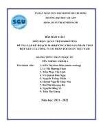 (TIỂU LUẬN) đề tài lập kế HOẠCH MARKETING CHO sản PHẨM TINH bột sắn của CÔNG TY cổ PHẦN FOCOCEV VIỆT NAM 
