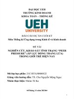 NGHIÊN cứu, KHẢO sát TÌNH TRẠNG NGHIÊN cứu, KHẢO sát TÌNH TRẠNG “PEER PRESSURE” (áp lực ĐỒNG TRANG lứa) TRONG GIỚI TRẺ HIỆN NAY 