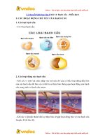 ly thuyet sinh hoc lop 8 bai 14 