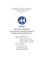(TIỂU LUẬN) ESSAY PRINCIPLES OF MARKETING ANALYSIS OF BRAND MARKETING STRATEGY VINAMILK AND RECOMMENTDATION 