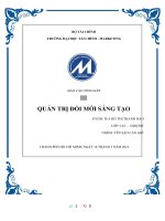 (TIỂU LUẬN) báo cáo TỔNG kết  QUẢN TRỊ đổi mới SÁNG tạo 