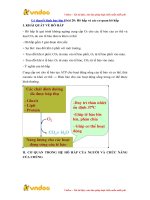 ly thuyet sinh hoc lop 8 bai 20 