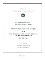(TIỂU LUẬN) báo cáo THỰC HÀNH NGHỀ NGHIỆP 1 đề tài PHÂN TÍCH CHIẾN lược TRUYỀN THÔNG của THƯƠNG HIỆU COOLMATE tại VIỆT NAM 