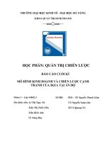 (TIỂU LUẬN) báo cáo CUỐI kì mô HÌNH KINH DOANH và CHIẾN lược CẠNH TRANH của IKEA tại ấn độ 