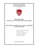 Bài tập lớn môn đại cương về phát triển doanh nghiệp phân tích sự phát triển của công ty cổ phần đầu tư thế giới di động 