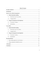 (TIỂU LUẬN) it was widely used by other MNCs such as starbucks, oreo and coca cola, who also emphasized localization as their focus on managing across cultures 