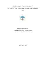 (TIỂU LUẬN) GROUP ASSIGNMENT GROUP 6 MINERAL RESOURCES current status of mineral resource in the world and in vietnam 
