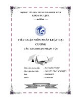 Tiểu luận pháp luật đại cương các giai đoạn phạm tội   nguyễn trần anh tiến 