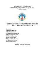 (TIỂU LUẬN) kế HOẠCH THÂM NHẬP THỊ TRƯỜNG mỹ của CAFE TRUNG NGUYÊN 