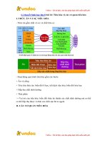 ly thuyet sinh hoc lop 8 bai 24 