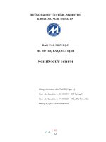 (TIỂU LUẬN) báo cáo môn học hệ hỗ TRỢ RA QUYẾT ĐỊNH NGHIÊN cứu SCRUM 