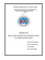 (TIỂU LUẬN) báo cáo đề tài PHÂN TÍCH báo cáo tài CHÍNH tại CÔNG TY cổ PHẦN TRAPHACO (TRA) 