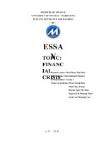 (TIỂU LUẬN) GLOBALIZATION AND THE FINANCIAL CRISIS  CONSEQUENCES AND SOLUTIONS OF FINANCIAL CRISIS 