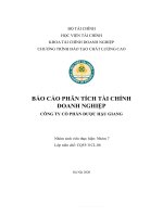 (TIỂU LUẬN) báo cáo PHÂN TÍCH tài CHÍNH DOANH NGHIỆP CÔNG TY cổ PHẦN dược hậu GIANG 