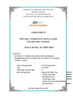 (TIỂU LUẬN) báo cáo dự án môn học chuyên đề xây DỰNG và TRIỂN KHAI THỰC HIỆN kế HOẠCH MARKETING MẠNG xã hội CHO cửa HÀNG ACCESSORY UNISEX – TUPB  