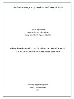 (TIỂU LUẬN) báo cáo ĐÁNH GIÁ CTV của CÔNG TY cổ PHẦN NHỰA AN PHÁT XANH TRONG GIAI đoạn 2015 2019 