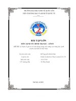 (TIỂU LUẬN) đề tài lý luận về giá trị và vận dụng trong việc nâng cao năng lực cạnh tranh của kinh tế việt nam  