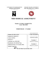 (TIỂU LUẬN) MID MODULE ASSIGNMENT module GLOBAL MARKETING code MKT3040 PORTFOLIO – 5 TASKS 