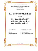 (TIỂU LUẬN) báo cáo môn học tên bài xây dựng hệ thống IOT chủ động giám sát từ xa qua cảm biến hình ảnh 