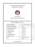 (TIỂU LUẬN) báo cáo hoạt động kinh doanh trên hai sàn thương mại điện tử shopee và lazada 